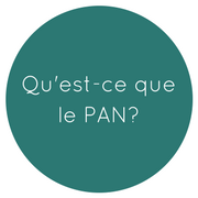 Qu'est-ce que le PAN